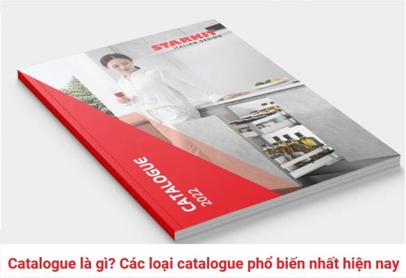 Catalogue là gì? Có bao nhiêu loại?