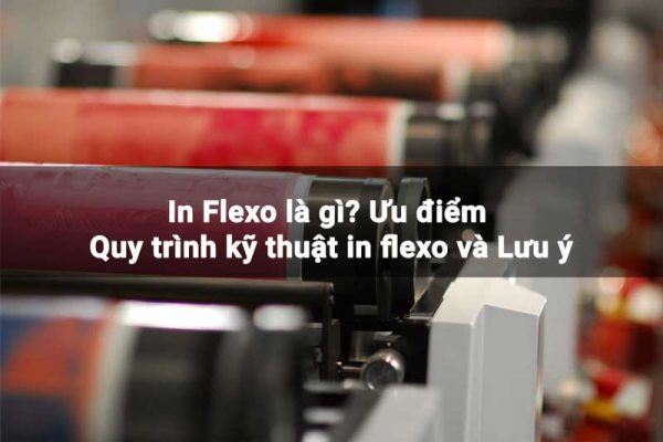 In Flexo là gì? Ưu điểm Quy trình kỹ thuật in flexo và Lưu ý