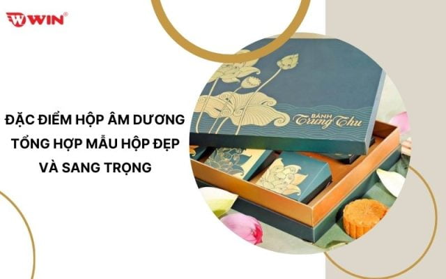 Đặc điểm hộp âm dương Tổng hợp mẫu hộp đẹp và sang trọng